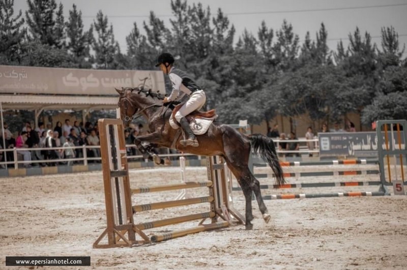 باشگاه سوارکاری پارمیدا مشهد